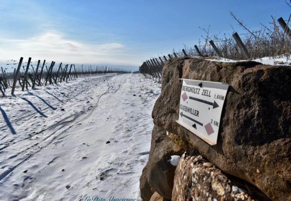 Апартаменти Au Petit Cocon De Coco Ґебвіллер Екстер'єр фото